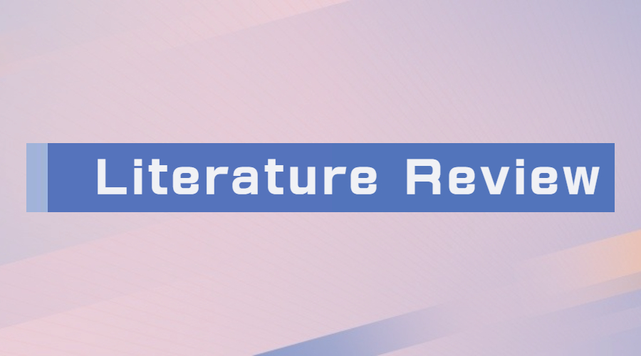 literature review辅导
