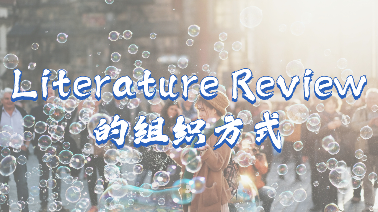 Literature Review辅导