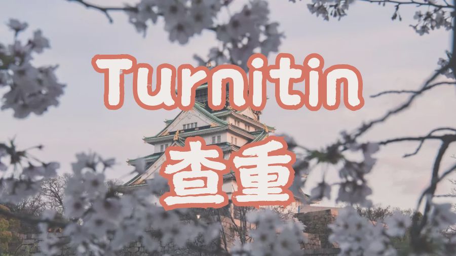 ​Turnitin之什么是抄袭，留学生如何克服抄袭的问题？
