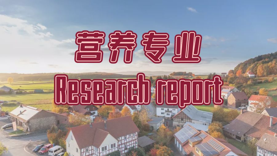 ​留学生如何撰写IT专业的Research Report？