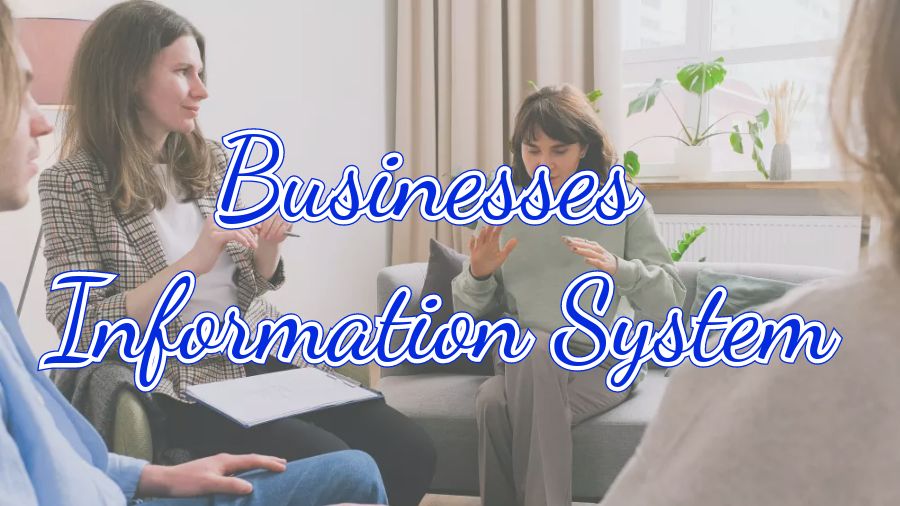 ​美国Businesses Information System课程补习