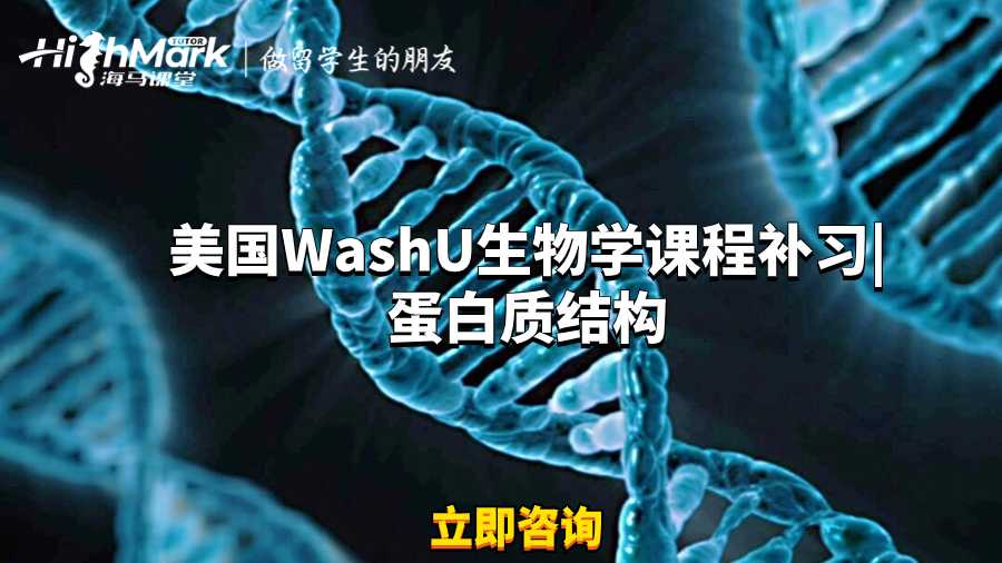 美国WashU生物学课程补习|蛋白质结构