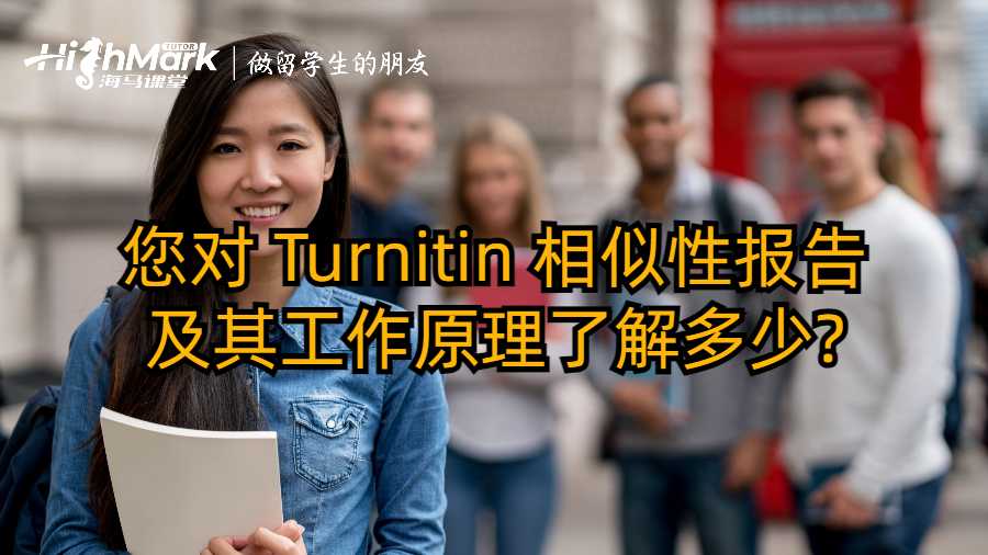 您对 Turnitin 相似性报告及其工作原理了解多少?
