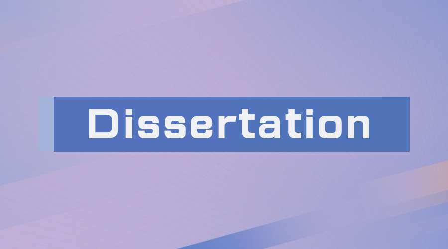 dissertation辅导