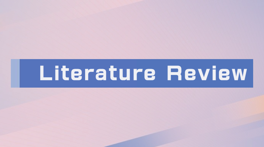 留学生literature review写作A+获取技巧