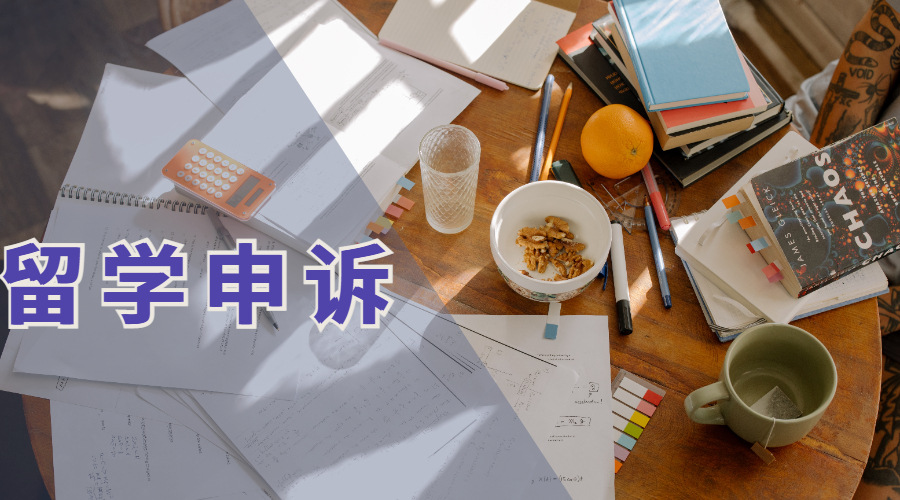 ​英国留学申诉要点，你需要了解这些内容！