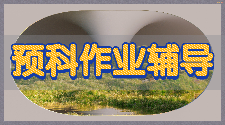 预科作业辅导