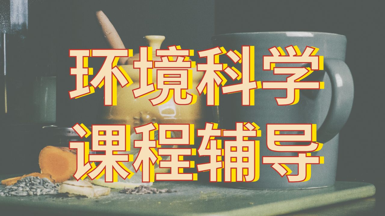 本科课程辅导