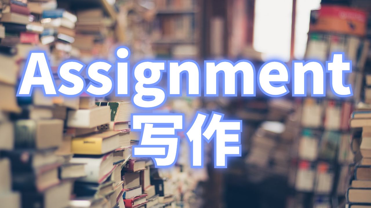 assignment写作
