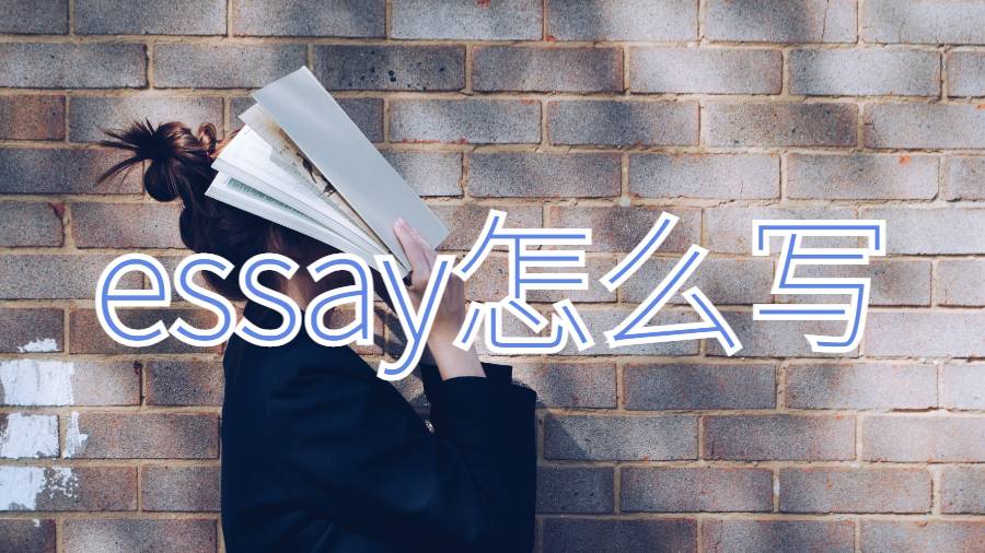 essay怎么写