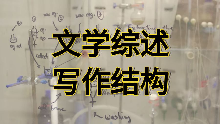 美国密苏里大学文学综述写作结构以及组织方法