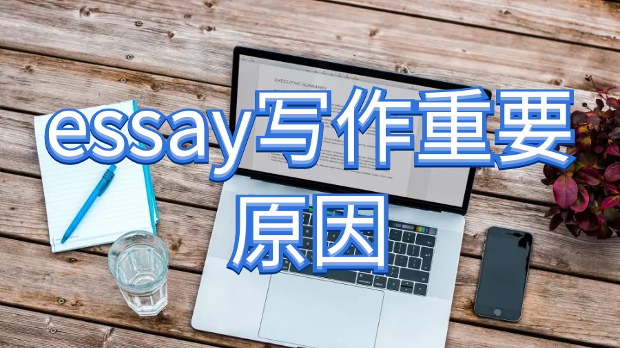 essay写作