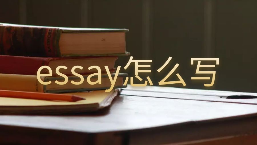 essay怎么写