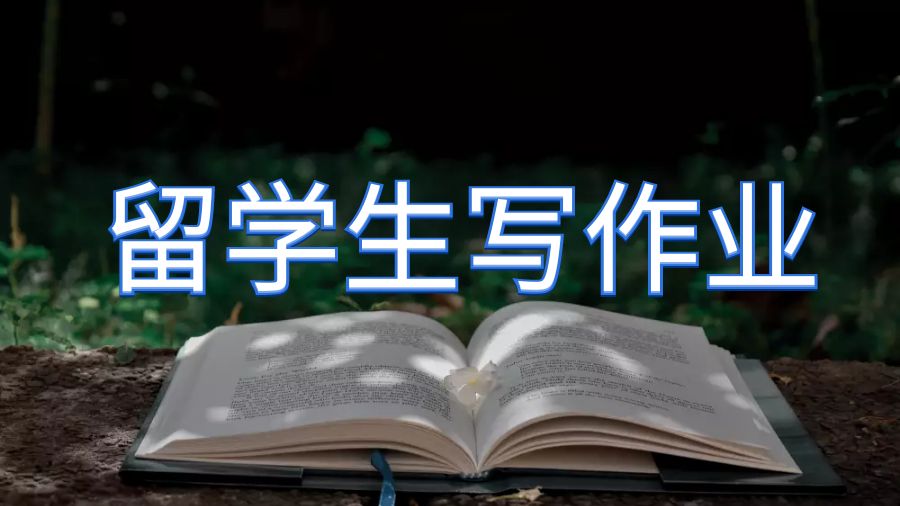 留学生写作业