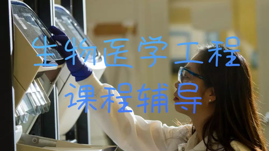 留学生课程辅导