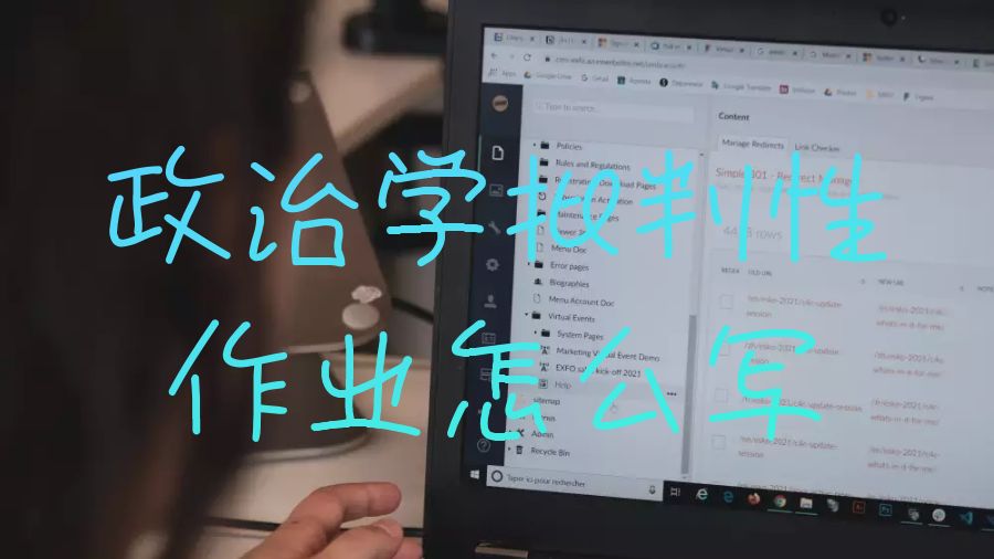 谢菲尔德大学政治学批判性作业怎么写？