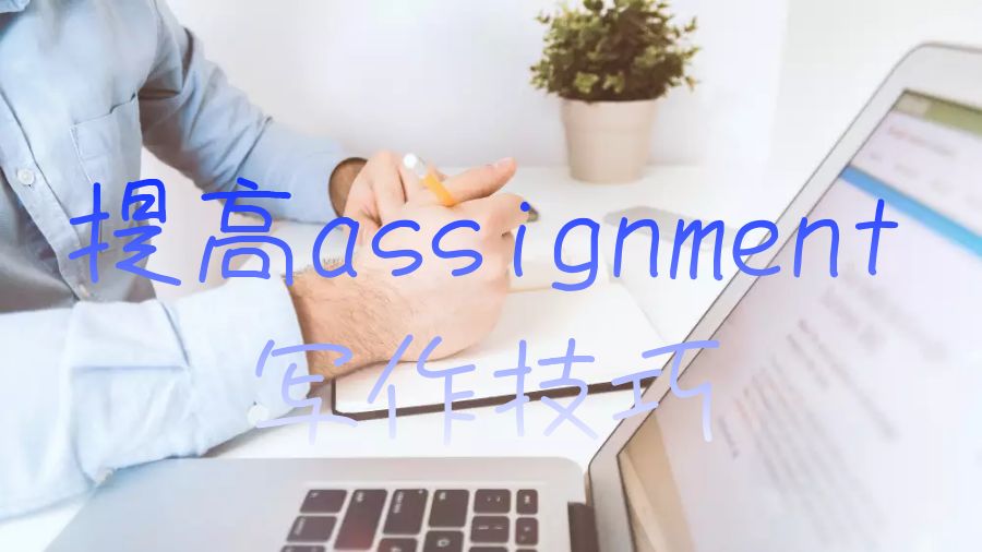 assignment写作