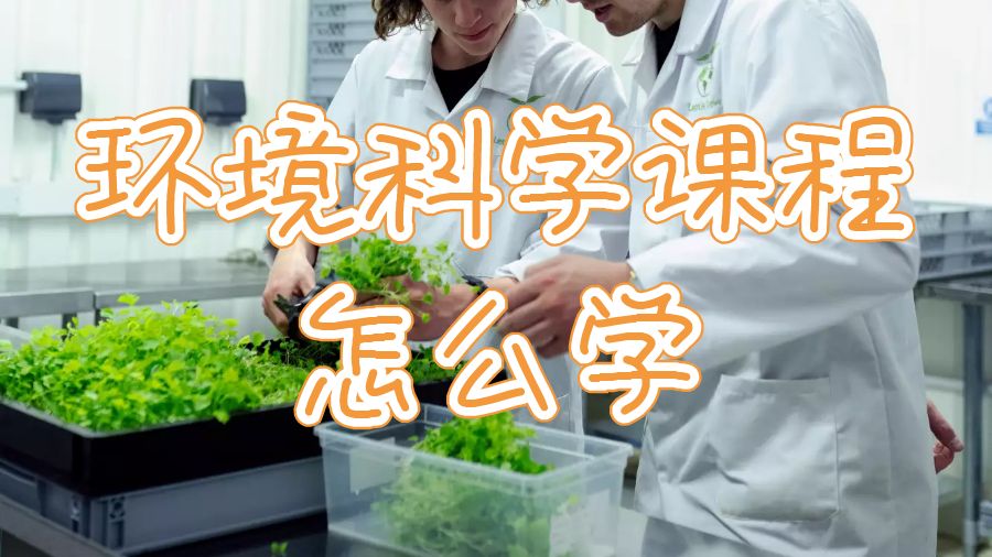 留学生课程辅导