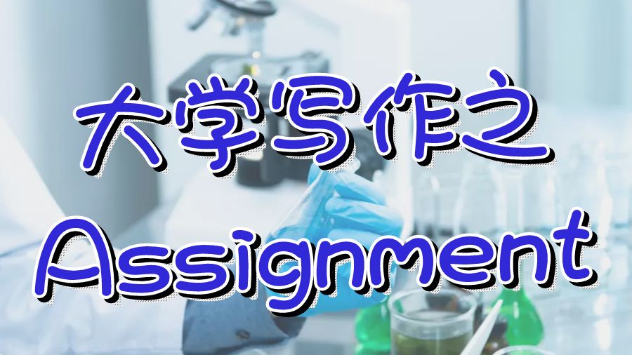 Assignment写作