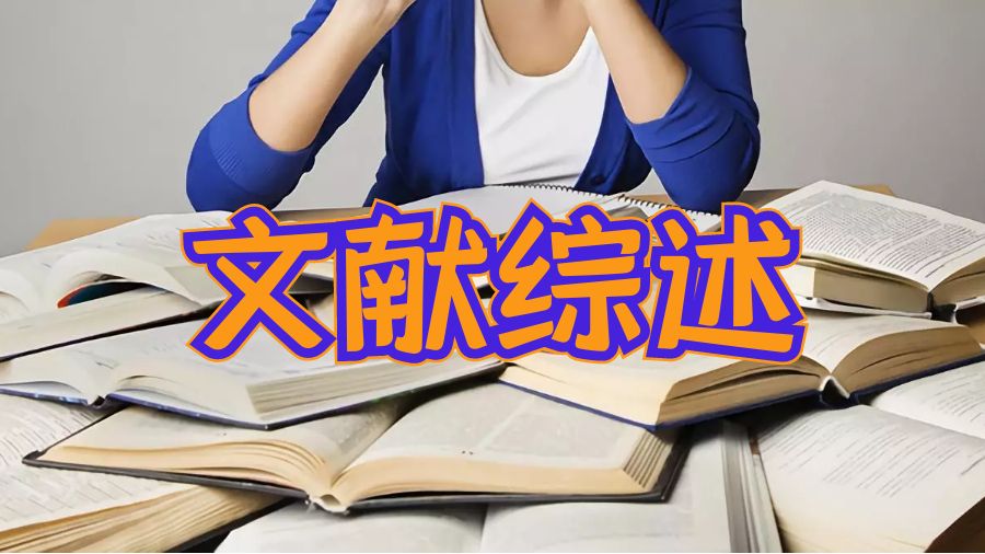 文献综述