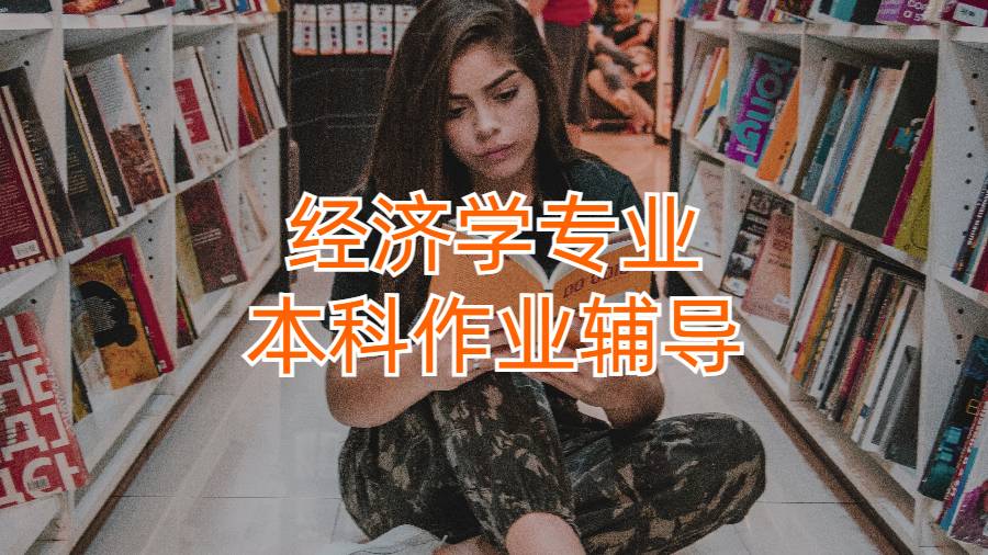 美国经济学专业本科作业辅导