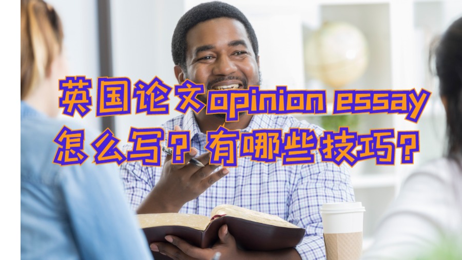 opinion essay