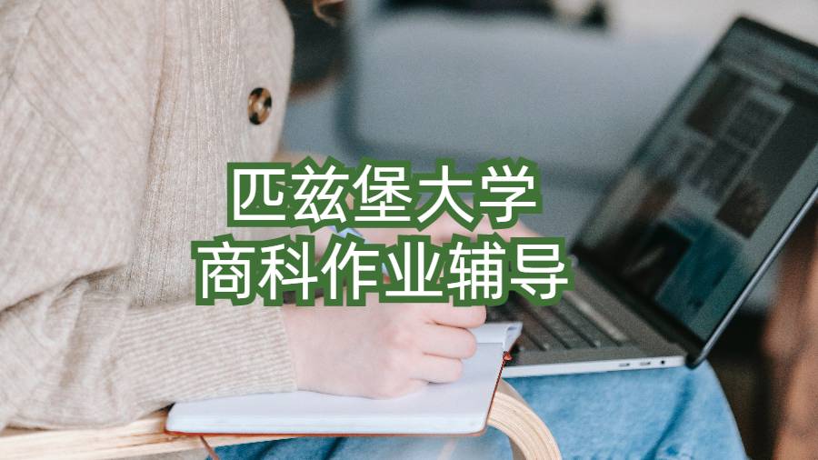匹兹堡大学商科作业辅导