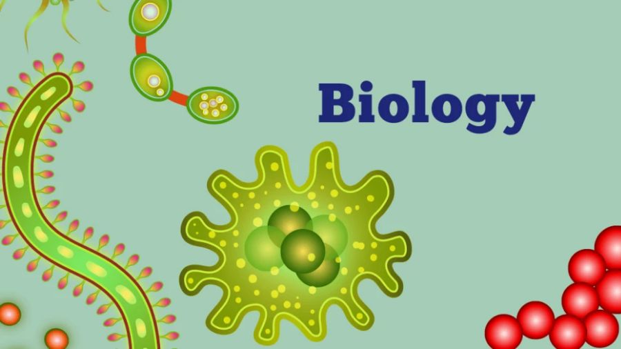 英国UCL大学biology论文研究课题