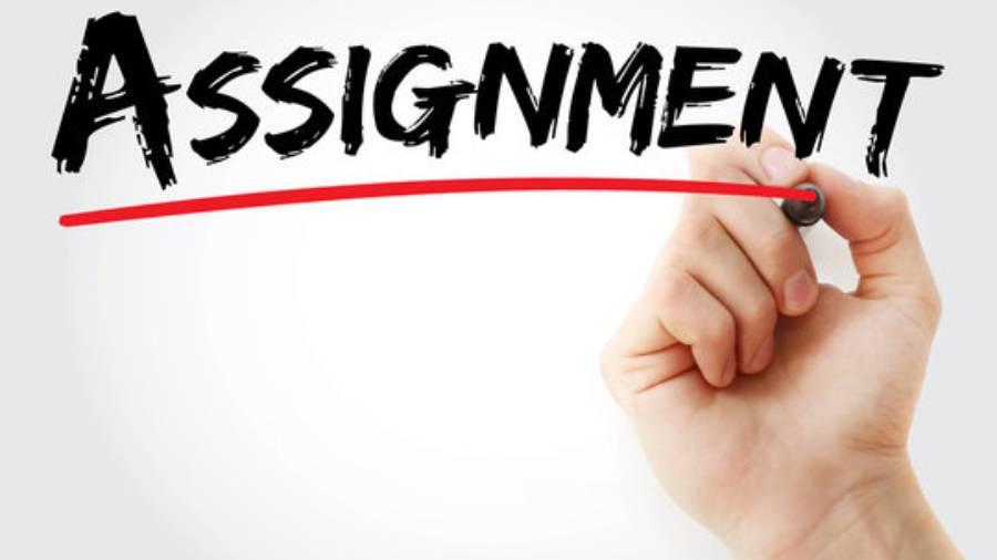美国留学生大学Assignment写作辅导