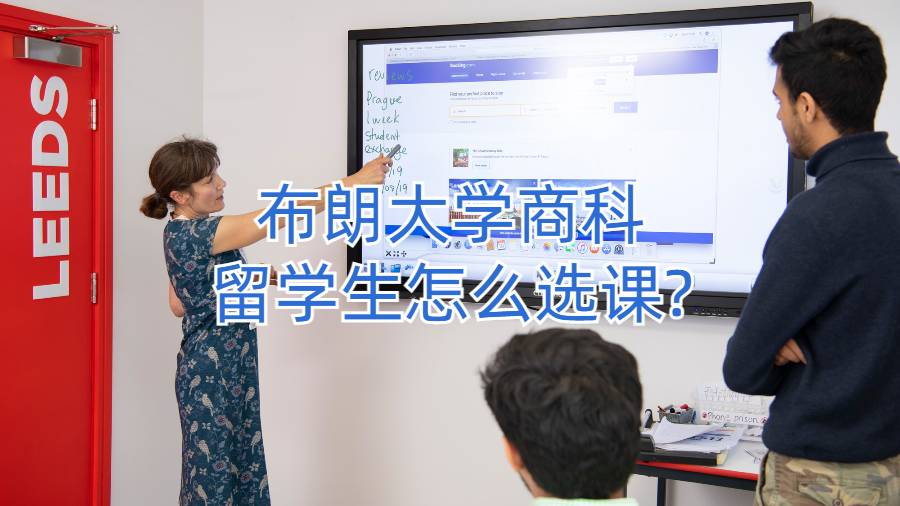 布朗大学商科留学生怎么选课?