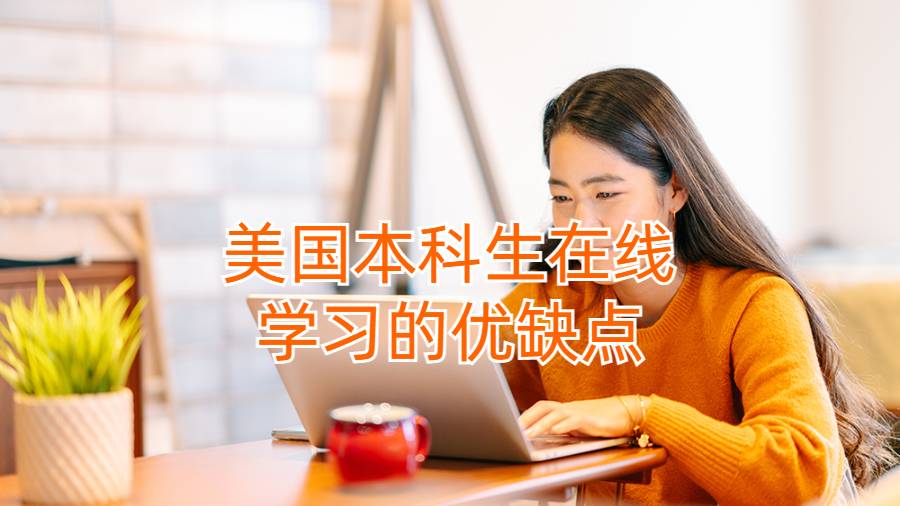 美国本科生在线学习的优缺点