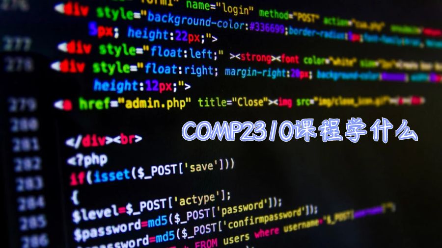 澳洲国立大学计算机COMP2310课程学什么？