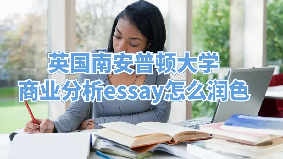 英国南安普顿大学商业分析essay怎么润色