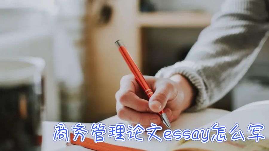 论文essay怎么写
