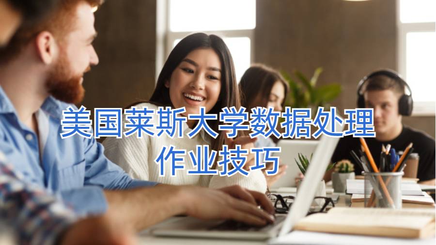 美国莱斯大学数据处理作业技巧