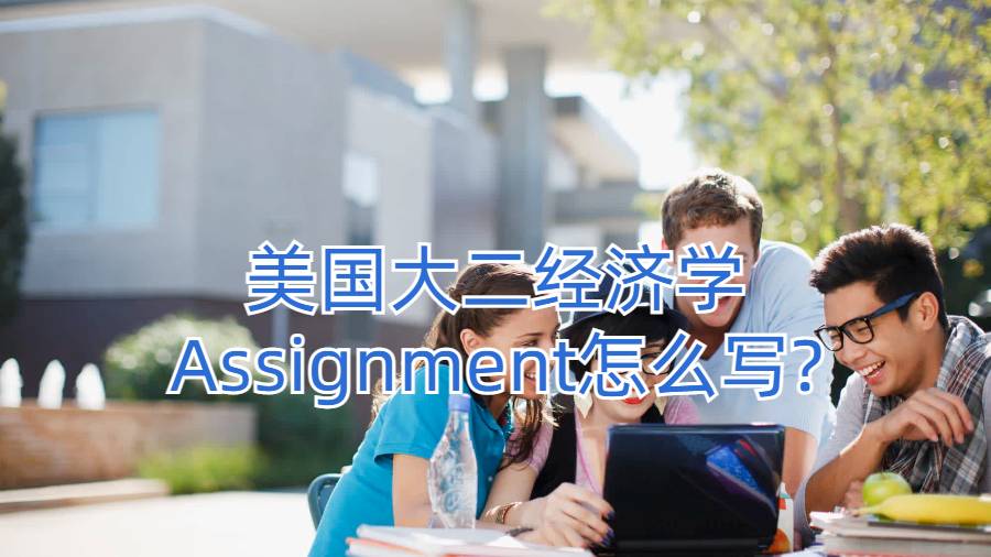 美国大二经济学Assignment怎么写?