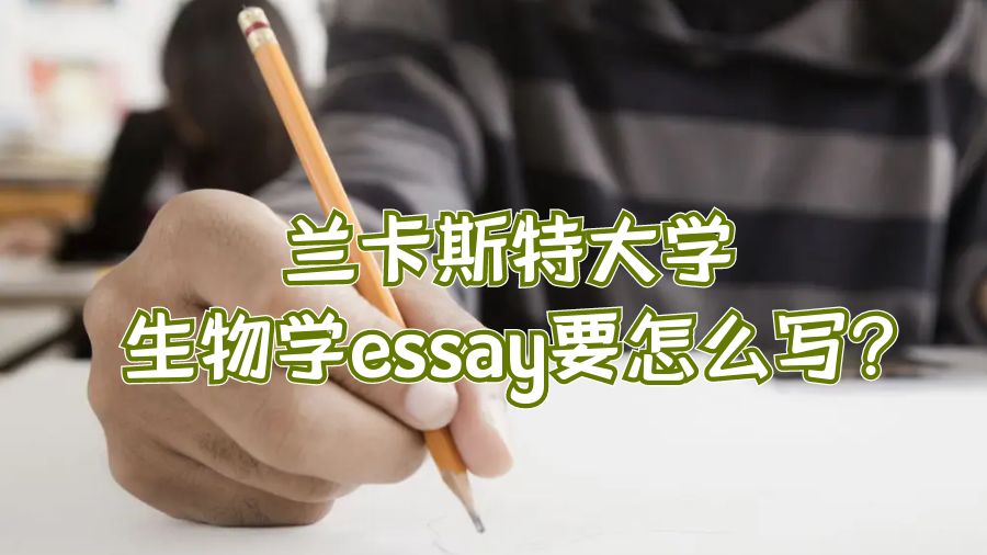 兰卡斯特大学生物学essay要怎么写?