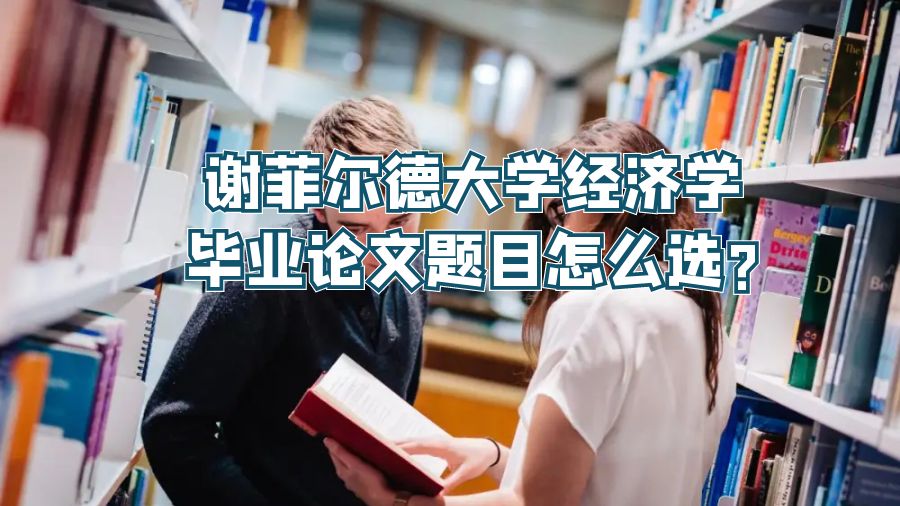 谢菲尔德大学经济学毕业论文题目怎么选?