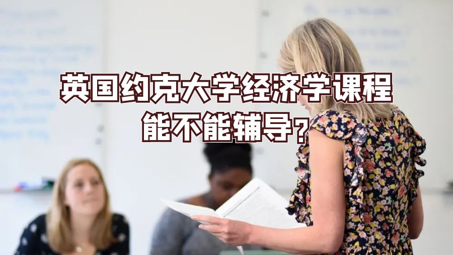 英国约克大学经济学课程能不能辅导?