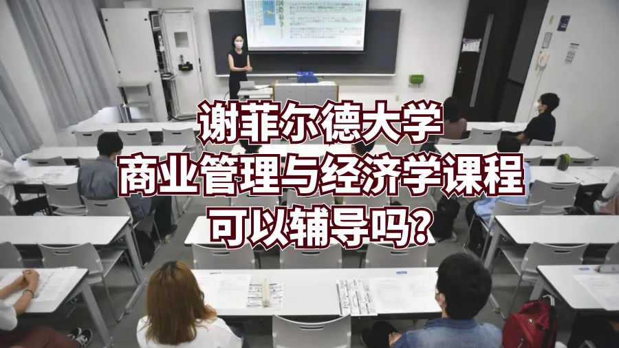 谢菲尔德大学商业管理与经济学课程可以辅导吗?