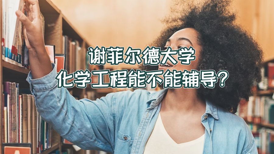 谢菲尔德大学化学工程能不能辅导?
