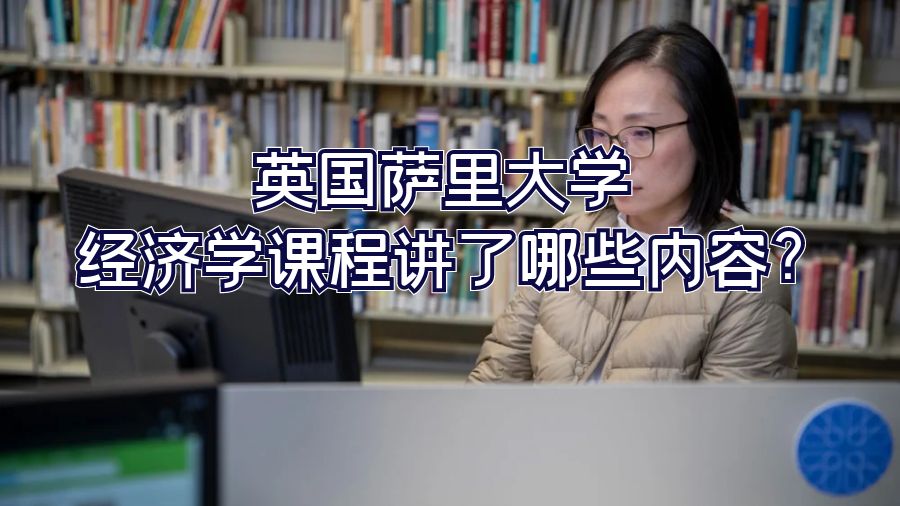 英国萨里大学经济学课程讲了哪些内容?