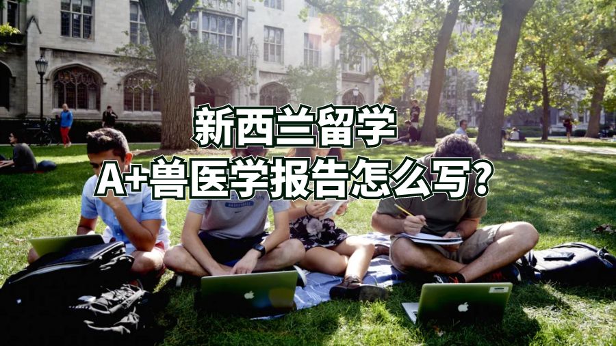 新西兰留学A+兽医学报告怎么写?