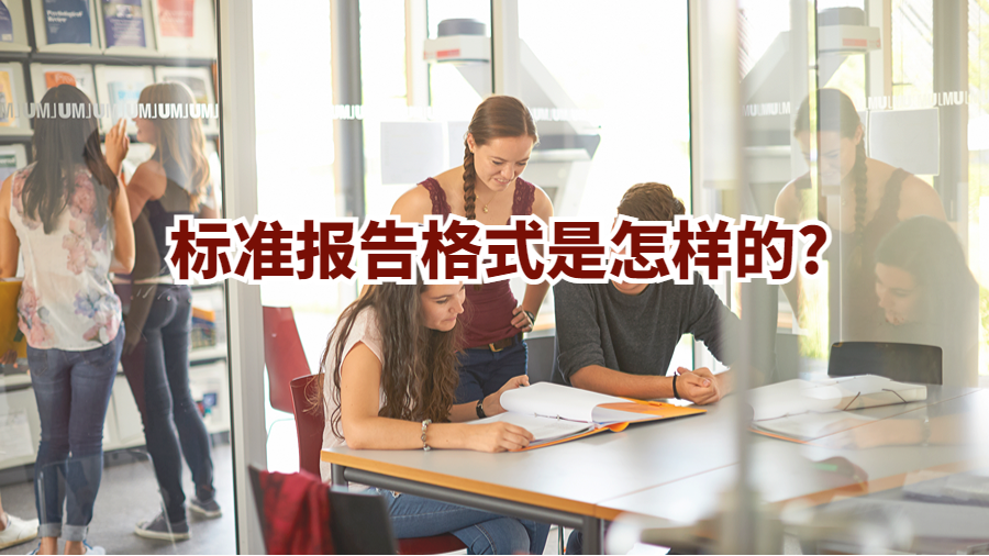报告格式