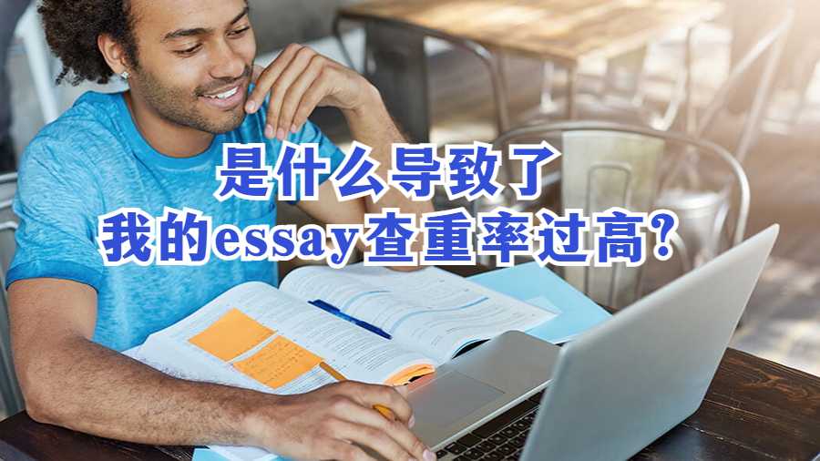 是什么导致了我的essay查重率过高?