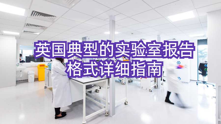 报告