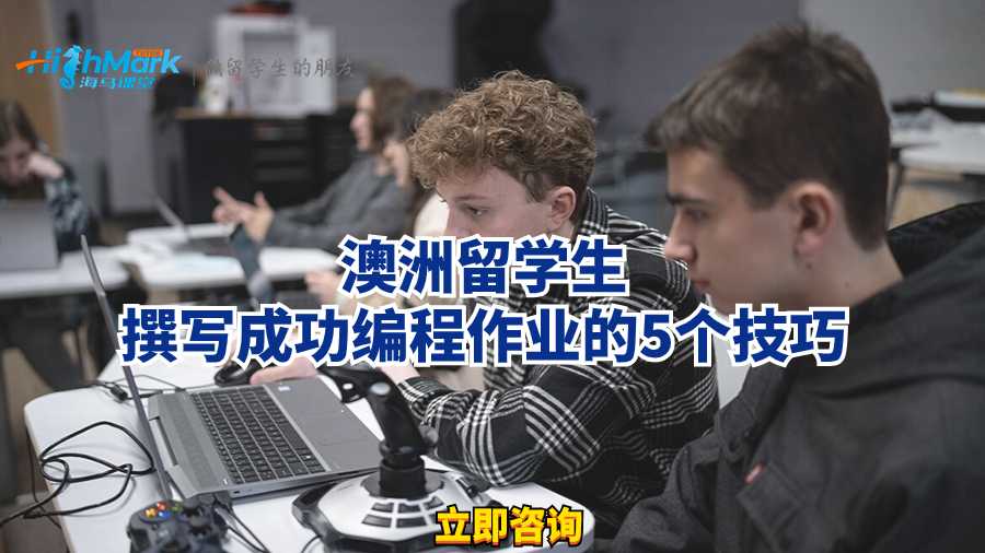 澳洲留学生撰写成功编程作业的5个技巧