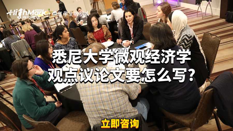 悉尼大学微观经济学观点议论文要怎么写?