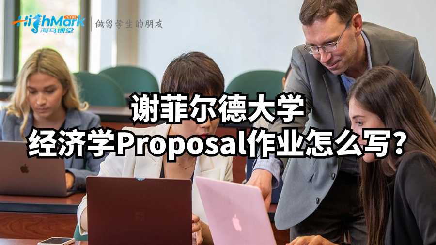 谢菲尔德大学经济学Proposal作业怎么写?