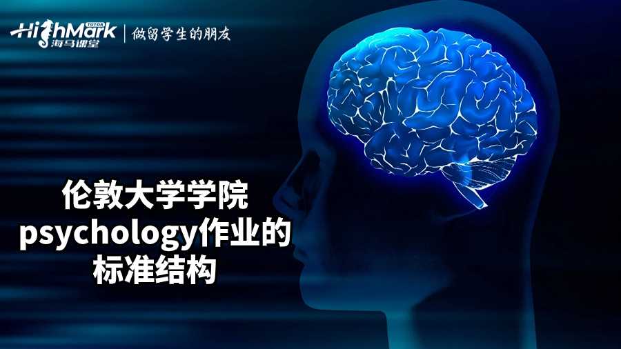 伦敦大学学院psychology Assignment的标准结构